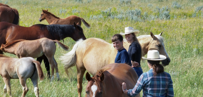 À la conquête du Far West : séjour en immersion chez les cow-boys du Wyoming - Caval&go