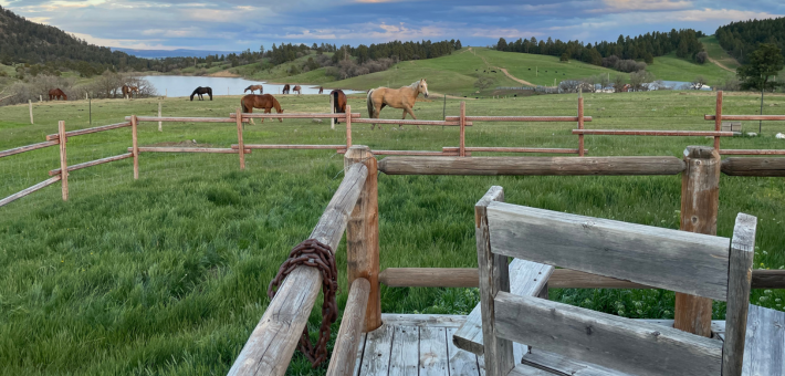 À la conquête du Far West : séjour en immersion chez les cow-boys du Wyoming - Caval&go