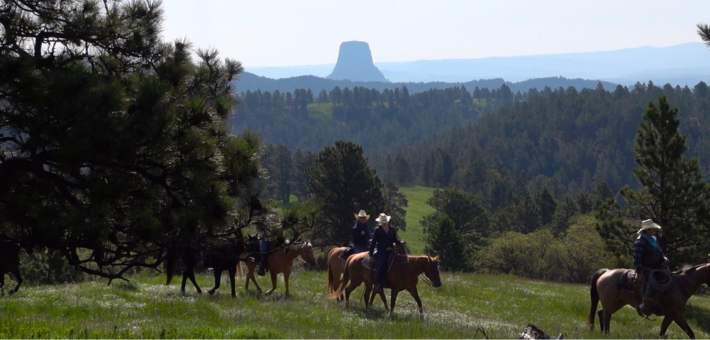 À la conquête du Far West : séjour en immersion chez les cow-boys du Wyoming - Caval&go