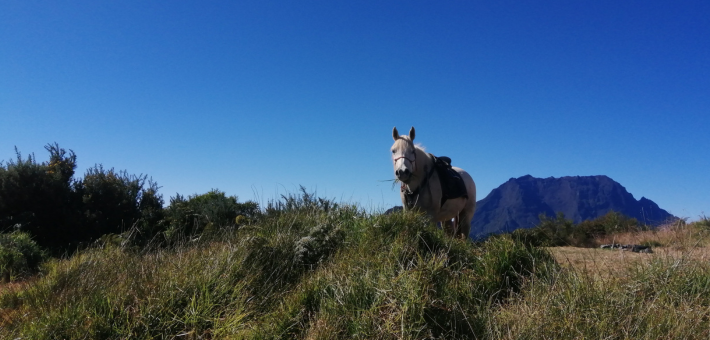 Jour 2. Arrivée et première sortie à cheval