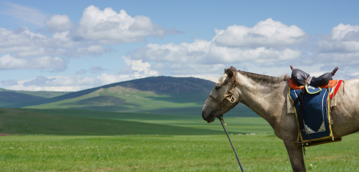 Randonnée à cheval dans L