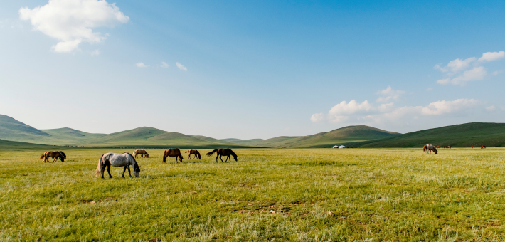 Randonnée à cheval dans L