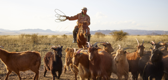 Randonnée à cheval dans L