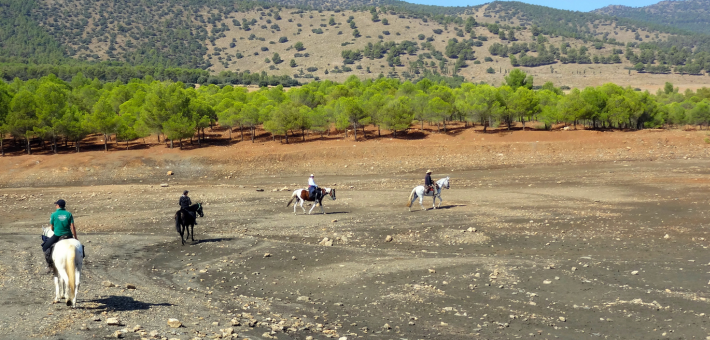 Randonnée équestre en Andalousie dans la Sierra Nevada - Caval&go