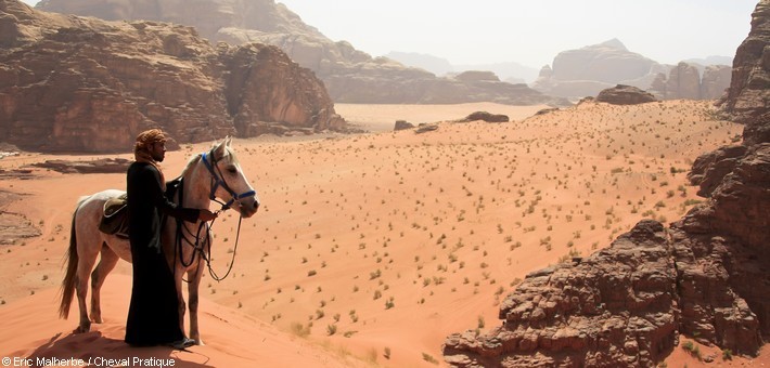 Jour 5. Wadi Rum - Randonnée à cheval