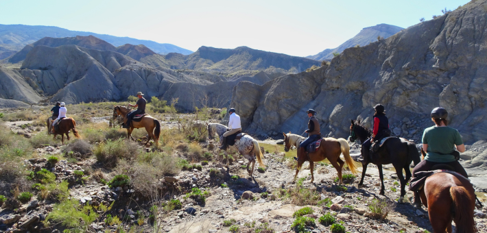 Chevauchée en Andalousie entre mer et désert - Caval&go