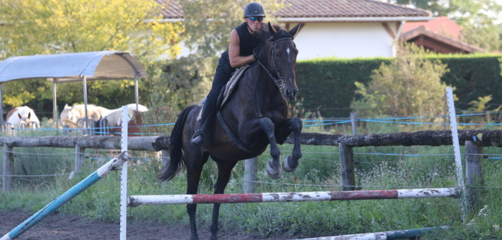 Stage de perfectionnement équestre sur les plages des Landes - Caval&go