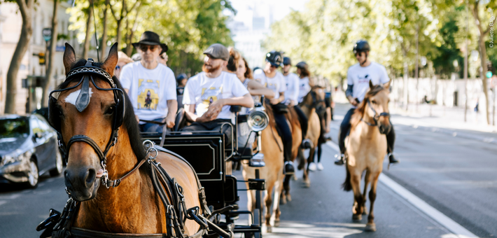 Entrez à cheval dans l