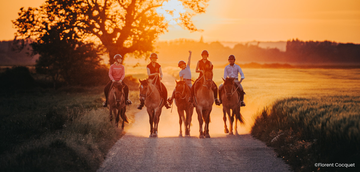 Week-end équestre de charme et découverte du cheval Henson en forêt de Fontainebleau - Caval&go