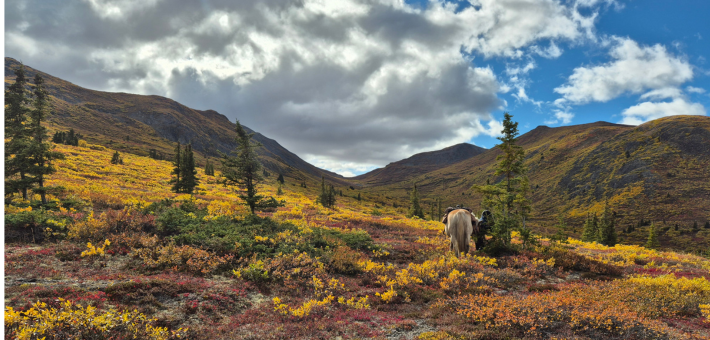Expedition équestre à la frontière de l