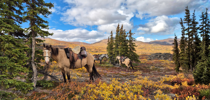 Expedition équestre à la frontière de l