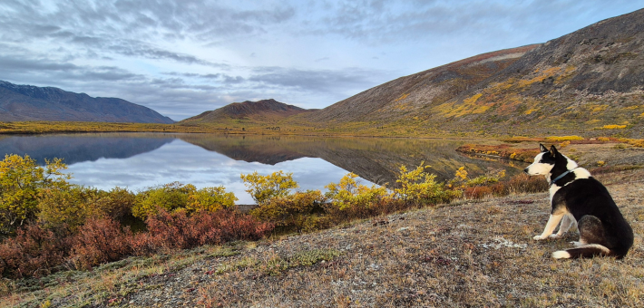 Expedition équestre à la frontière de l