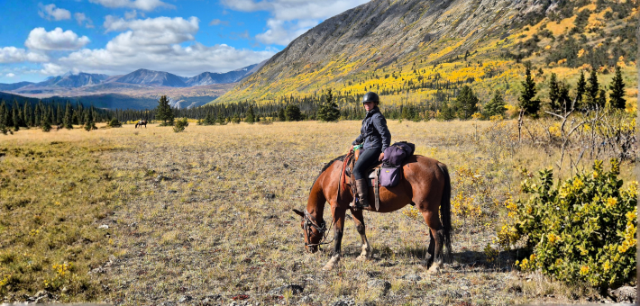 Expedition équestre à la frontière de l