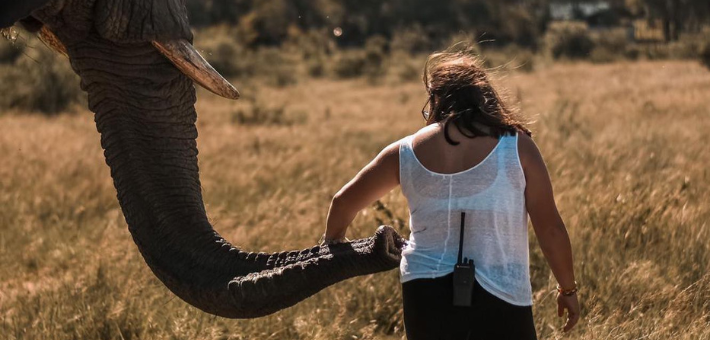 Séjour écovolontaire dans une réserve au Zimbabwe - Caval&go