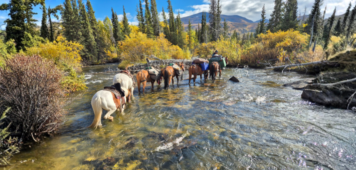 Expedition équestre à la frontière de l