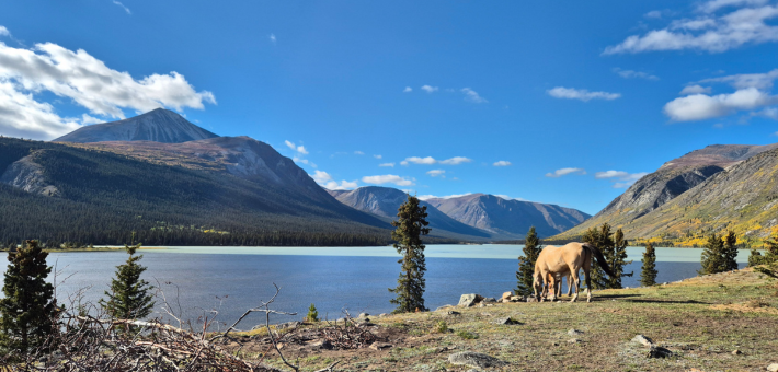 Expedition équestre à la frontière de l