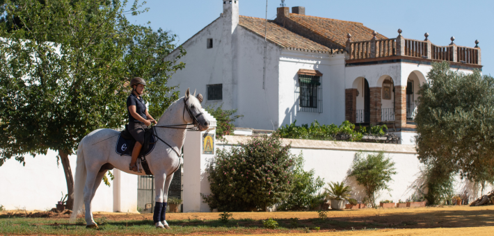 Randonnée équestre à Séville, entre balades et cours de dressage - Caval&go
