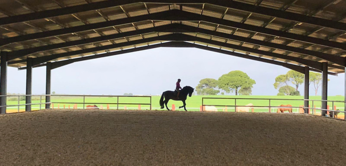 Randonnée équestre à Séville, entre balades et cours de dressage - Caval&go