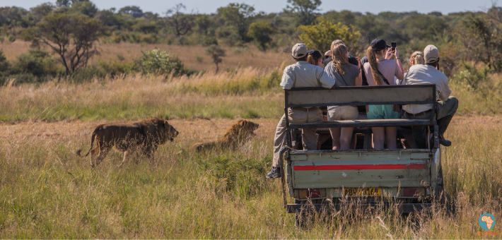 Séjour écovolontaire dans une réserve au Zimbabwe - Caval&go