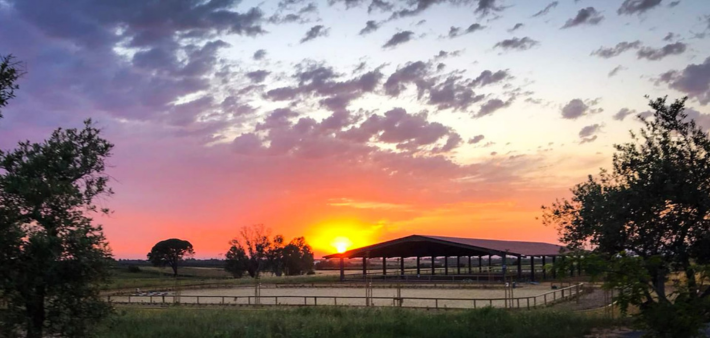 Randonnée équestre à Séville, entre balades et cours de dressage - Caval&go