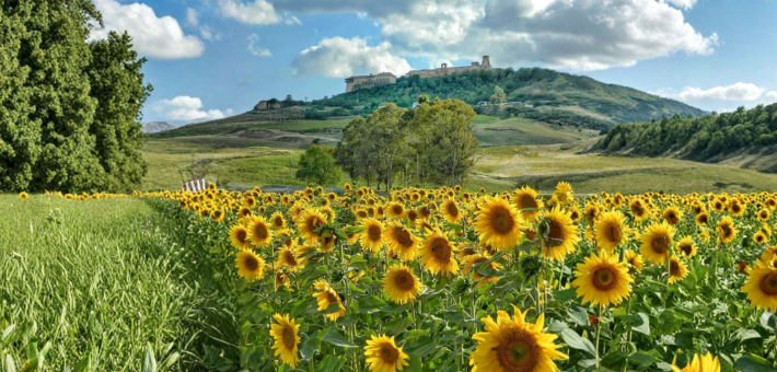 Randonnée équestre à Séville, entre balades et cours de dressage - Caval&go