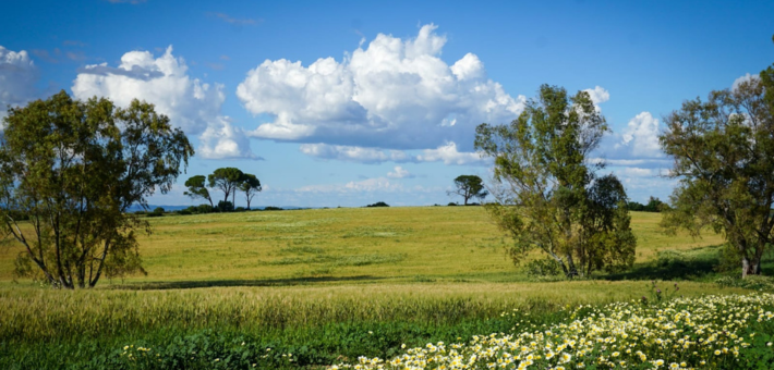 Randonnée équestre à Séville, entre balades et cours de dressage - Caval&go