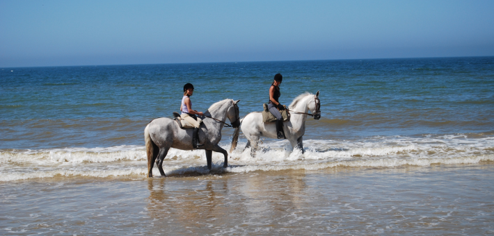Randonnée équestre à Séville, entre balades et cours de dressage - Caval&go
