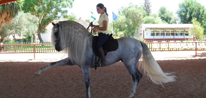 Stage exclusif avec Rafaël Soto sur l’art du dressage et de la Haute École à Séville - Caval&go