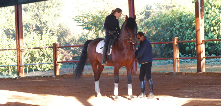 Stage exclusif avec Rafaël Soto sur l’art du dressage et de la Haute École à Séville - Caval&go