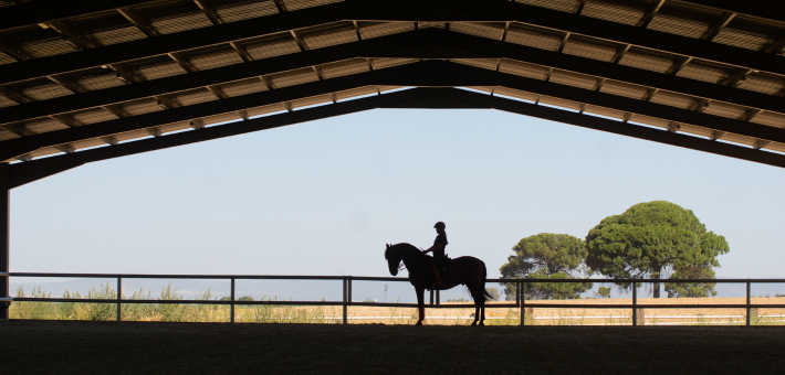 Stage exclusif avec Rafaël Soto sur l’art du dressage et de la Haute École à Séville - Caval&go
