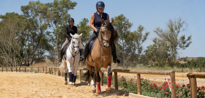Stage exclusif avec Rafaël Soto sur l’art du dressage et de la Haute École à Séville - Caval&go