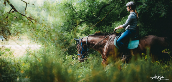 Week-end à cheval en forêt de Fontainebleau - Caval&go