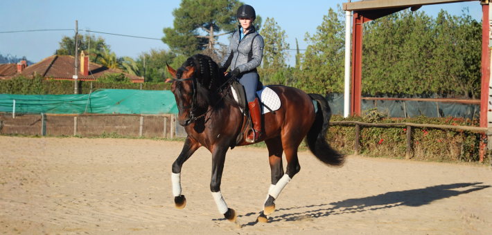 Stage prestige en dressage de haute école sur chevaux andalous à Séville - Caval&go