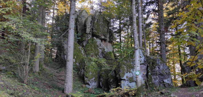 Randonnée équestre tous niveaux au cœur des vallées et massifs vosgiens - Caval&go
