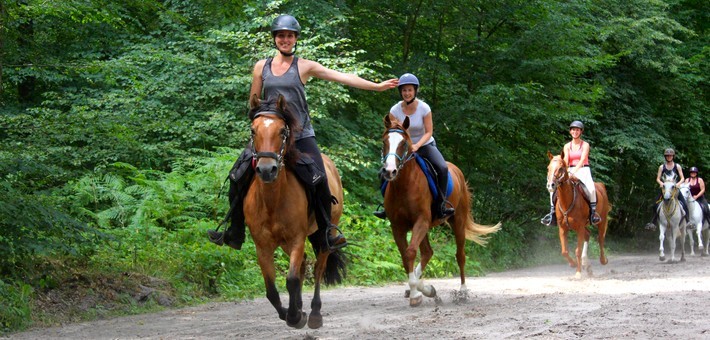 Week-end de charme et randonnées à cheval en forêt de Chantilly