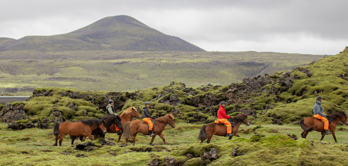 Randonnée équestre autour du volcan de Hengill en Islande - Caval&go