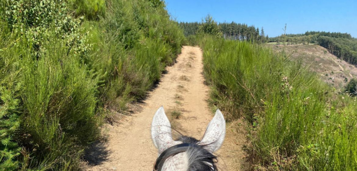 Randonnée à cheval du pays de Crussol au lac de Devesset en Ardèche - Caval&go