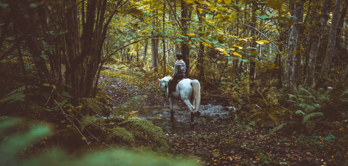 Séjour équestre au Québec, au pays des chevaux et des baleines - Caval&go