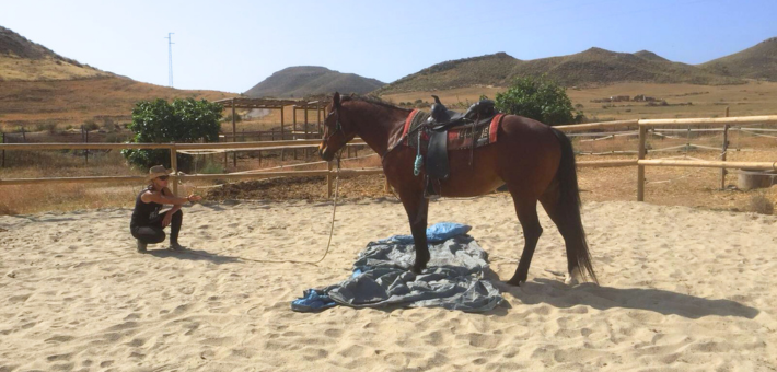 Méthode Parelli et randonnée équestre sur les plages d