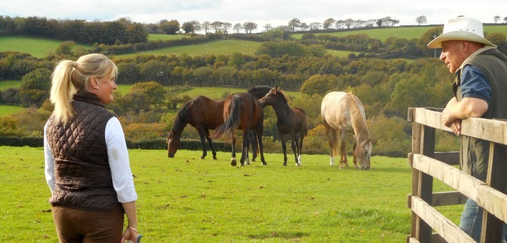 Randonnée équestre western dans le parc du Dartmoor en Angleterre