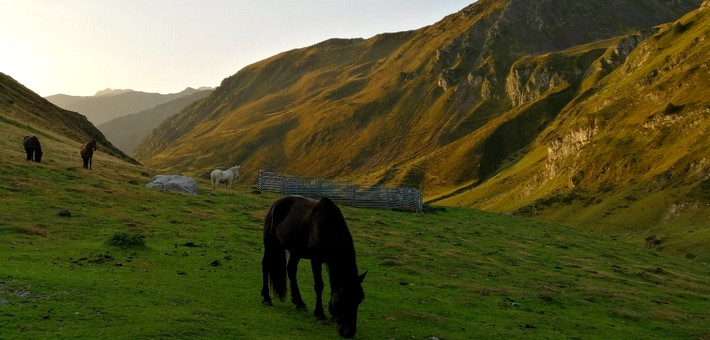 Randonnée à cheval "Le Pic du midi" - Caval&go 