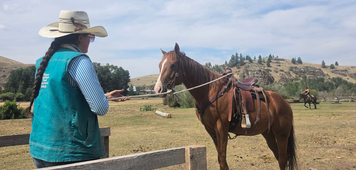 Immersion dans un ranch familial au Montana : Cheval & Natural Horsemanship - Caval&go