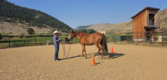 Immersion dans un ranch familial au Montana : Cheval & Natural Horsemanship - Caval&go