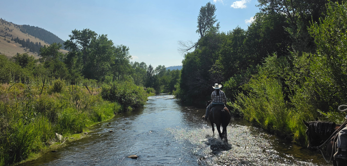 Immersion dans un ranch familial au Montana : Cheval & Natural Horsemanship - Caval&go