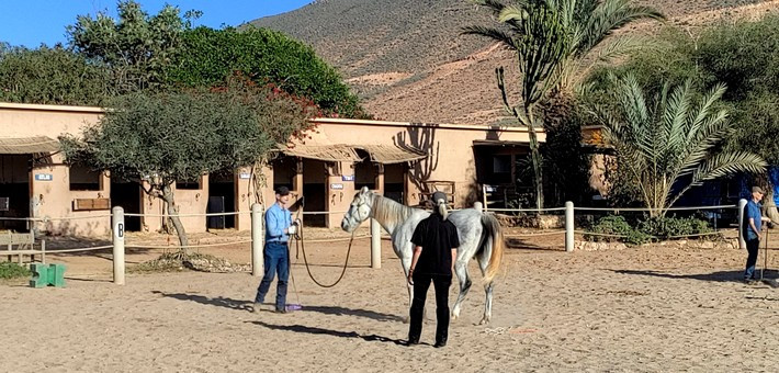 Stage éthologie, randonnée équestre Thierry Lhermitte Maroc - Caval&go