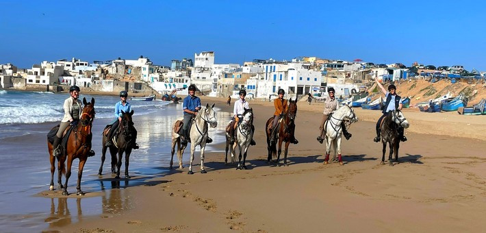 Stage éthologie, randonnée équestre Thierry Lhermitte Maroc - Caval&go