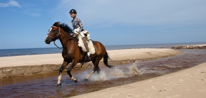 Vacances à cheval au galop sur les plages vierges de la Baltique