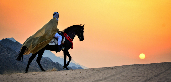 Escapade à cheval en Egypte : des Pyramides à la Mer Rouge - Caval&go