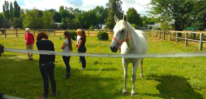 Week-end communication et relation avec le cheval - Caval&go