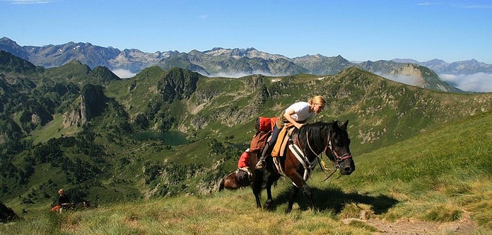 Transhumance des chevaux Mérens dans les Pyrénées